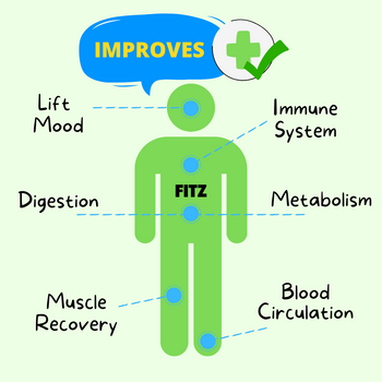 Fitz Reflexology